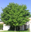 gwsite3-b005011.jpg